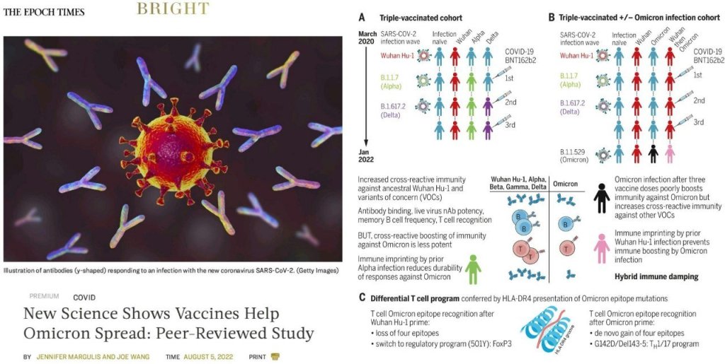 🆘️ “LA NUOVA SCIENZA MOSTRA CHE I VACCINI AIUTANO LA DIFFUSIONE DI OMICRON: STUDIO PEER-REVIEWED”🆘️