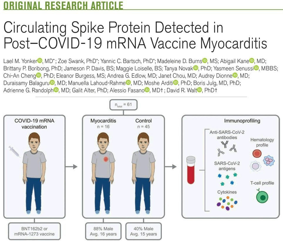 💥 “BASTA COL VACCINO AI RAGAZZI. LO STUDIO CHE TOGLIE I DUBBI.&nbsp;💥