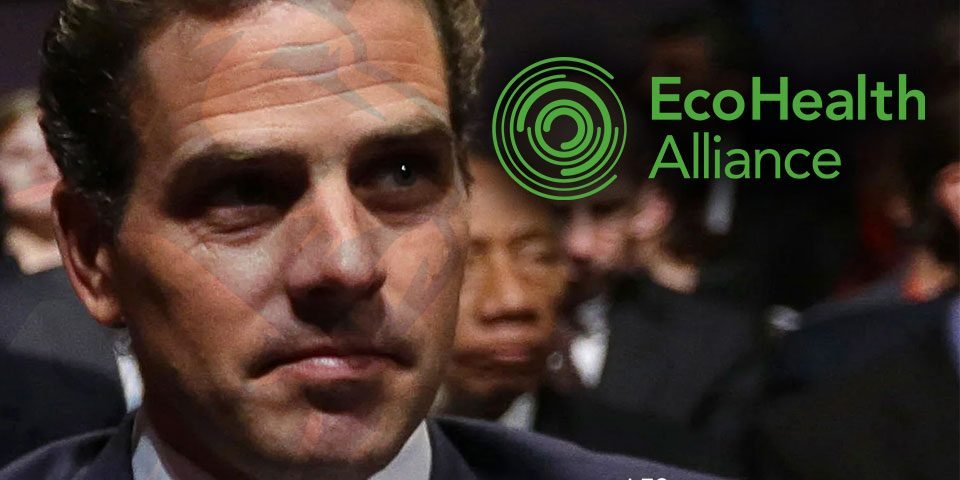 💥Metabiota di Hunter Biden legato a EcoHealth Alliance di Peter Daszak e Shi Zhengli del Wuhan Institute of&nbsp;Virology