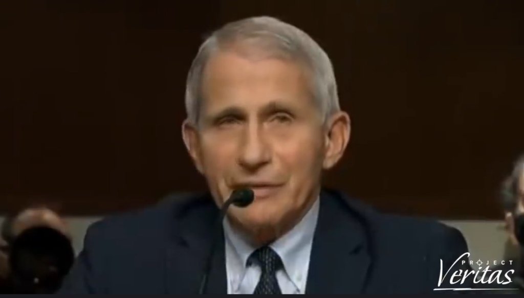 ⛔ I documenti militari sul guadagno di funzione contraddicono la testimonianza di Fauci sotto giuramento – Gennaio 2022&nbsp;#ExposeFauci