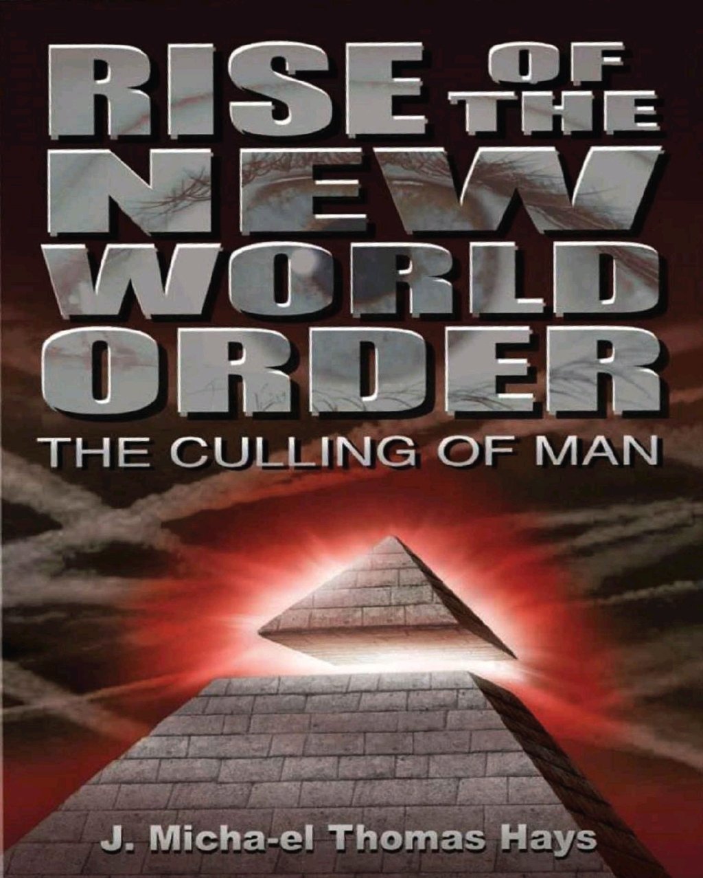 🔴Interessanti spunti Dal Libro – Il Nuovo Ordine Mondiale – L’abbattimento dell’Uomo” – di J. Micha-el Thomas Hays 2013 – rivelano il piano del&nbsp;NWO‼️