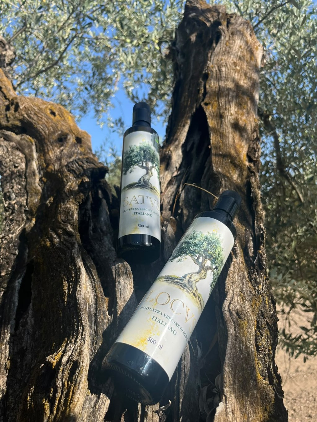L’Eredità della Terra: L’Eccellenza dell’Olio Extravergine Ereditas e il Trionfo al Premio Nutrievo&nbsp;2026